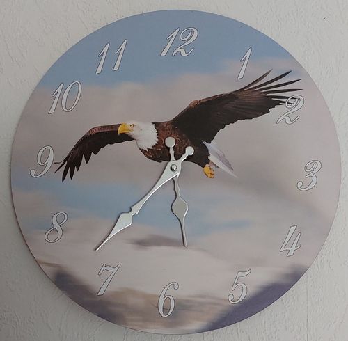 Uhr Adler Weisskopfseeadler